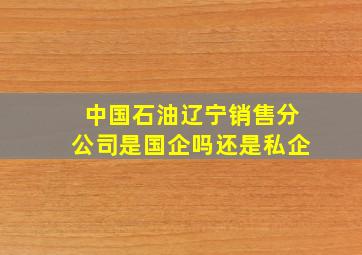 中国石油辽宁销售分公司是国企吗还是私企