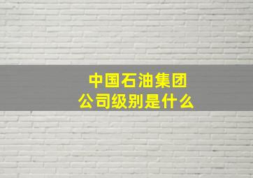 中国石油集团公司级别是什么