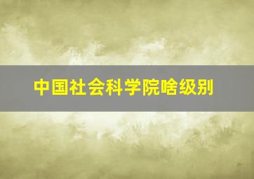 中国社会科学院啥级别