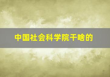 中国社会科学院干啥的