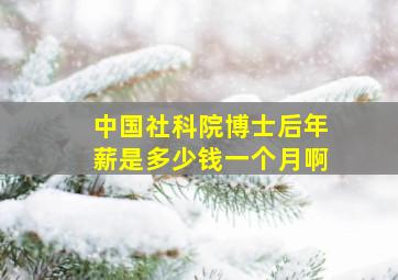 中国社科院博士后年薪是多少钱一个月啊