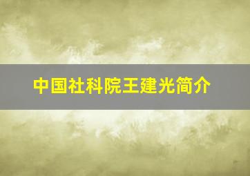 中国社科院王建光简介