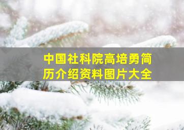 中国社科院高培勇简历介绍资料图片大全