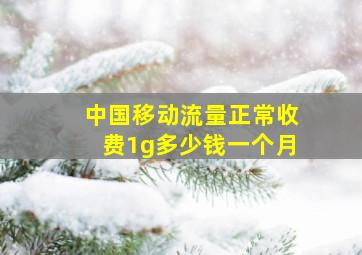 中国移动流量正常收费1g多少钱一个月