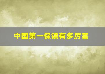 中国第一保镖有多厉害