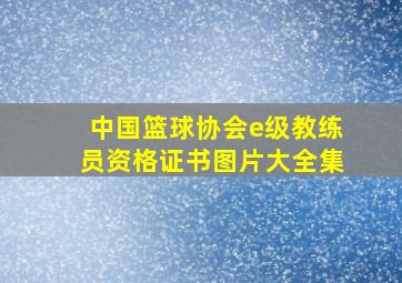 中国篮球协会e级教练员资格证书图片大全集