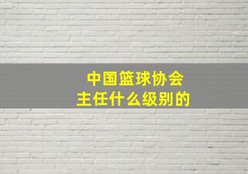 中国篮球协会主任什么级别的