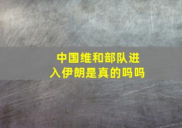 中国维和部队进入伊朗是真的吗吗