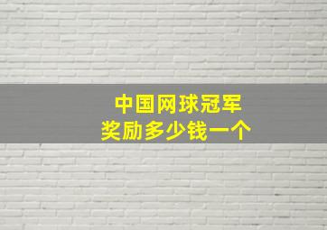 中国网球冠军奖励多少钱一个