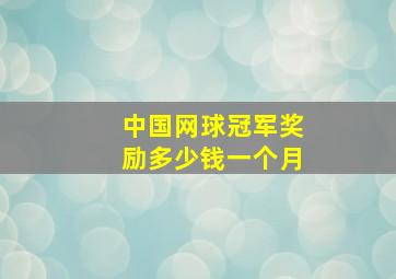 中国网球冠军奖励多少钱一个月