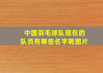 中国羽毛球队现在的队员有哪些名字呢图片