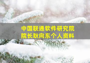 中国联通软件研究院院长耿向东个人资料