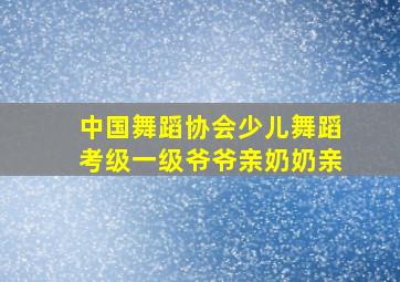 中国舞蹈协会少儿舞蹈考级一级爷爷亲奶奶亲