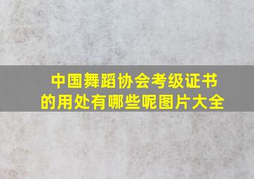 中国舞蹈协会考级证书的用处有哪些呢图片大全