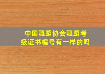 中国舞蹈协会舞蹈考级证书编号有一样的吗