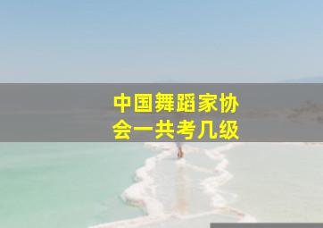 中国舞蹈家协会一共考几级