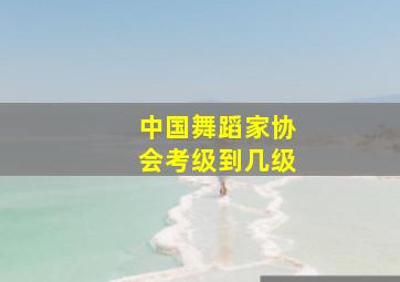 中国舞蹈家协会考级到几级