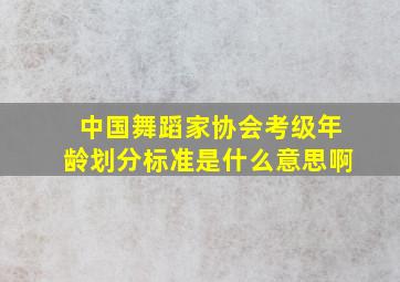 中国舞蹈家协会考级年龄划分标准是什么意思啊