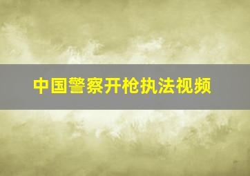 中国警察开枪执法视频