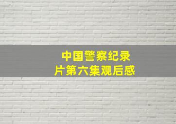 中国警察纪录片第六集观后感