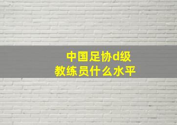 中国足协d级教练员什么水平