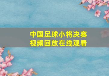 中国足球小将决赛视频回放在线观看