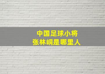 中国足球小将张林峒是哪里人