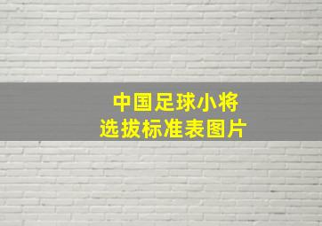 中国足球小将选拔标准表图片