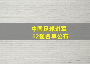 中国足球进军12强名单公布