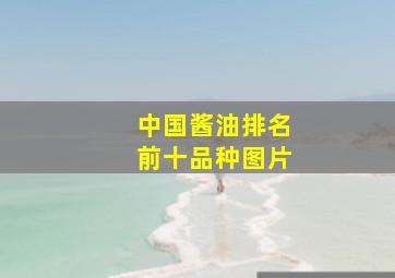 中国酱油排名前十品种图片