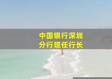 中国银行深圳分行现任行长