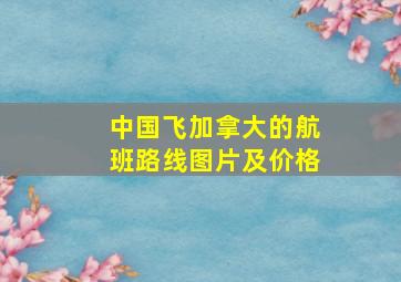 中国飞加拿大的航班路线图片及价格