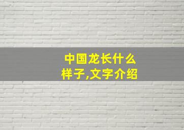 中国龙长什么样子,文字介绍