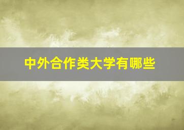 中外合作类大学有哪些