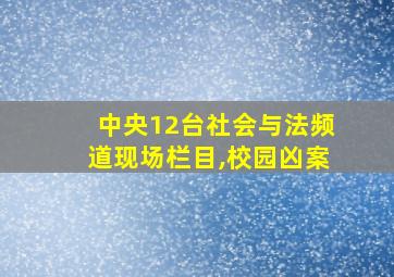 中央12台社会与法频道现场栏目,校园凶案