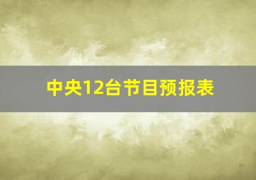 中央12台节目预报表