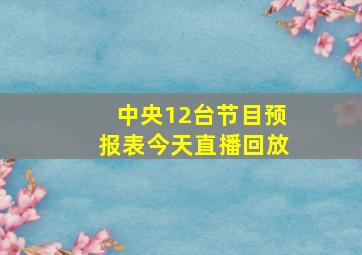 中央12台节目预报表今天直播回放