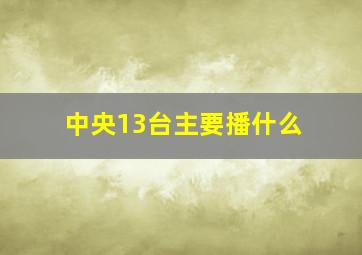 中央13台主要播什么