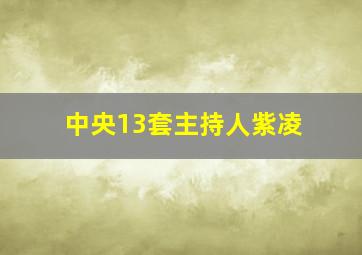 中央13套主持人紫凌