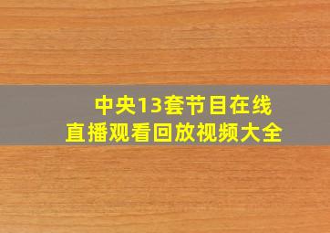 中央13套节目在线直播观看回放视频大全