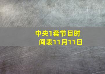 中央1套节目时间表11月11日