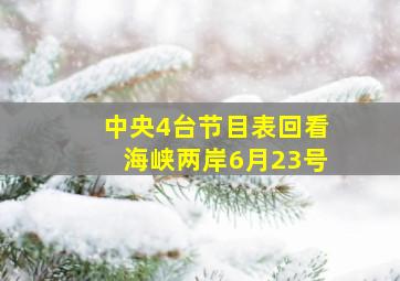 中央4台节目表回看海峡两岸6月23号