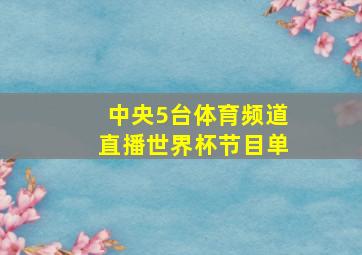 中央5台体育频道直播世界杯节目单