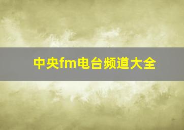 中央fm电台频道大全