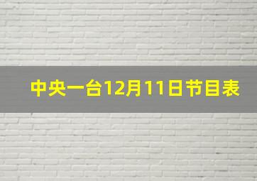 中央一台12月11日节目表