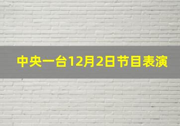 中央一台12月2日节目表演