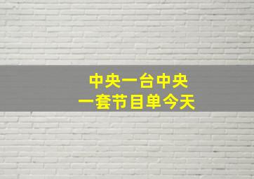 中央一台中央一套节目单今天