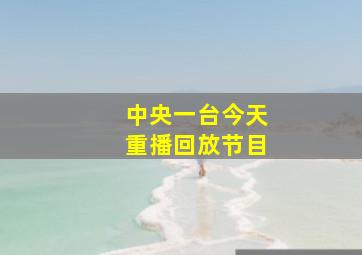 中央一台今天重播回放节目