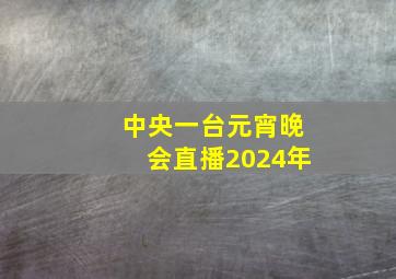 中央一台元宵晚会直播2024年