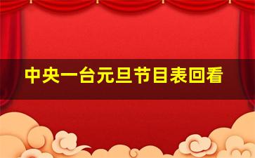 中央一台元旦节目表回看